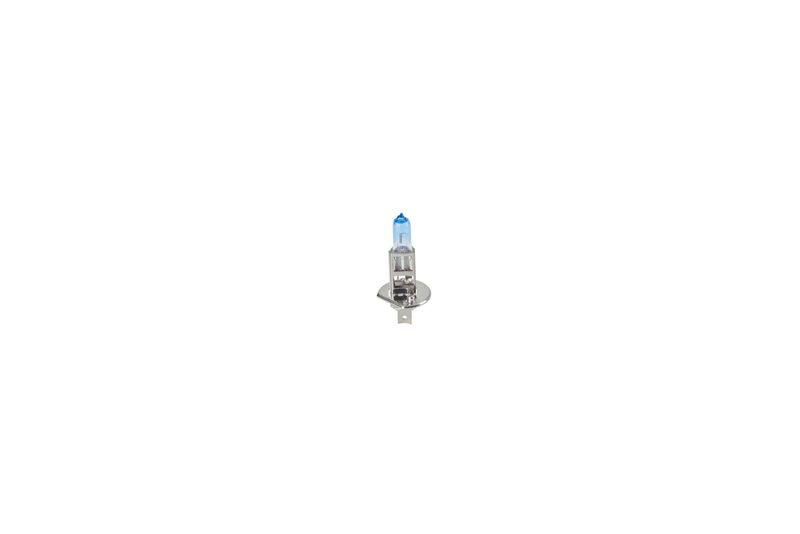 SUPP-30-1987301135 #2