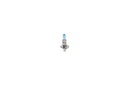 SUPP-30-1987301135 #2