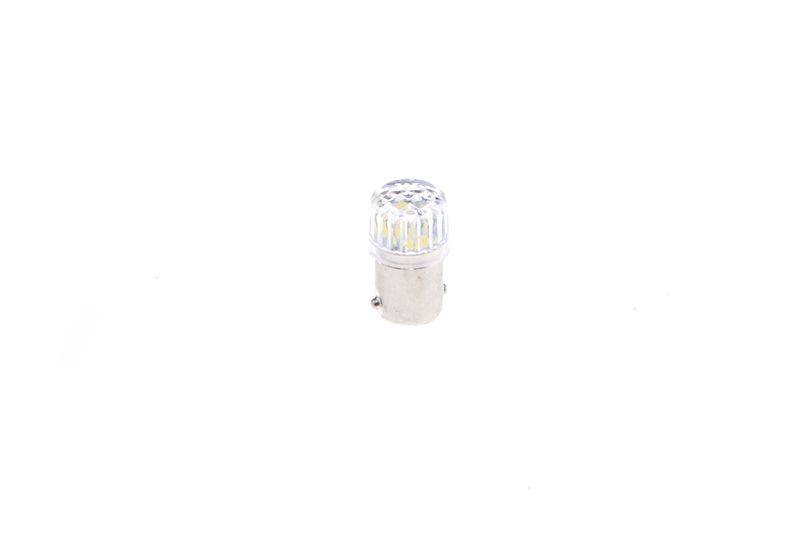 SUPP-30-1987301513 #2