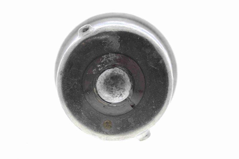 SUPP-183-V99840004 #1