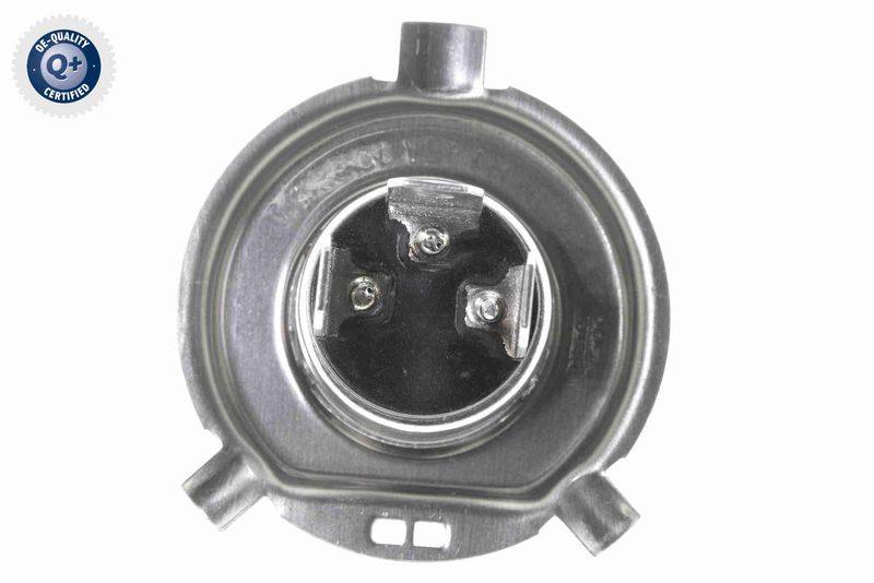 SUPP-183-V99840007 #1
