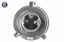 SUPP-183-V99840007 #1
