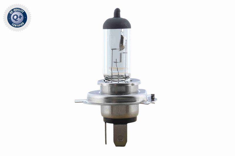 SUPP-183-V99840007 #2