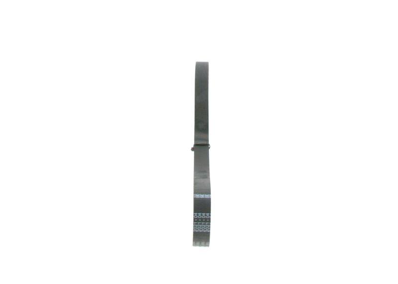 SUPP-30-1987946155 #1