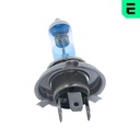 SUPP-234-E114BR1C #2
