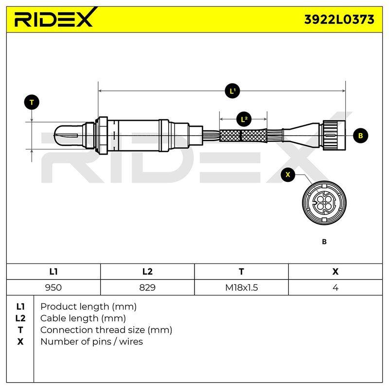SUPP-6358-3922L0373 #3