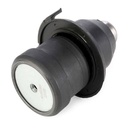 SUPP-6358-2462S0158 #2