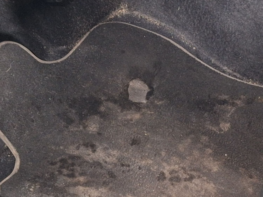 Photo 42