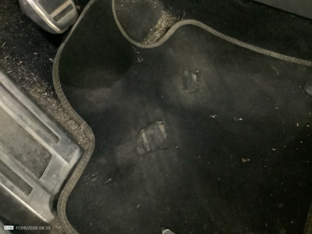 Photo 48