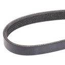 SUPP-6358-305P0174 #2