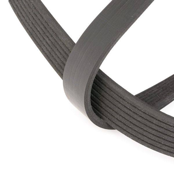 SUPP-6358-542R0546 #1