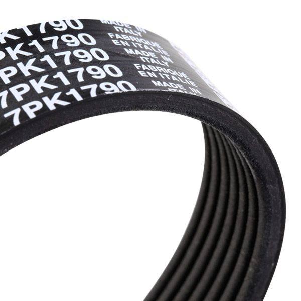 SUPP-6358-542R0282 #3