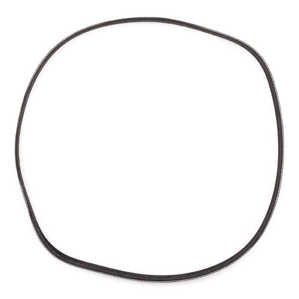 SUPP-6358-305P0494P #2