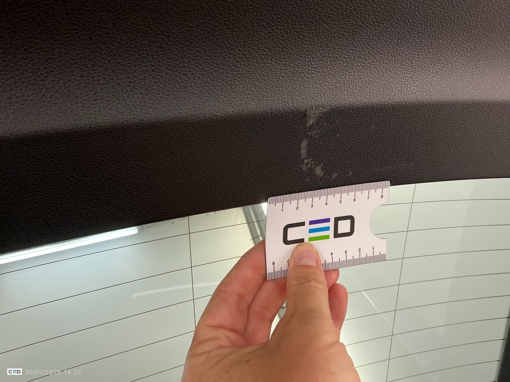 Photo 61