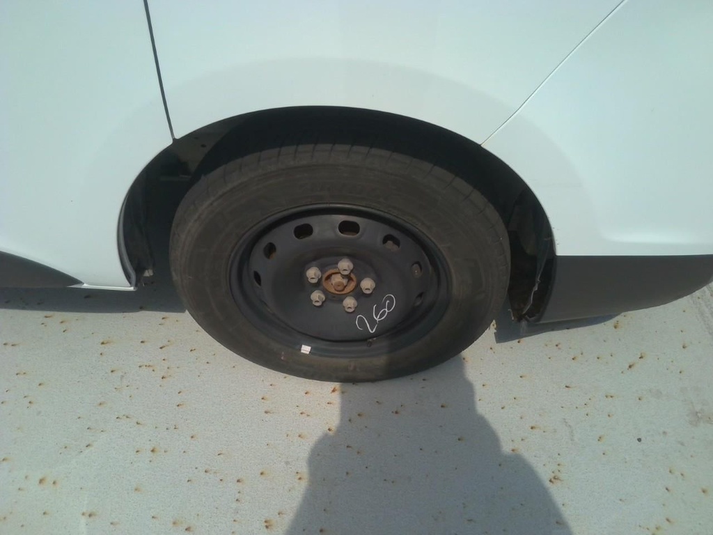 Photo 41