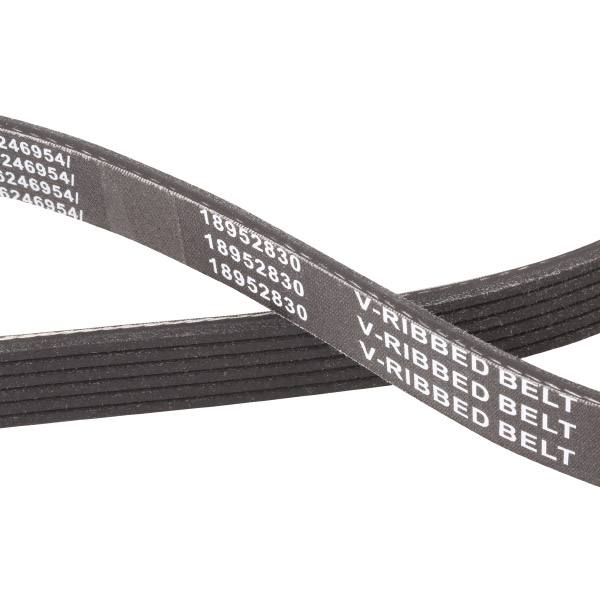 SUPP-6358-305P0343P #3