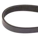 SUPP-6358-305P0170 #1