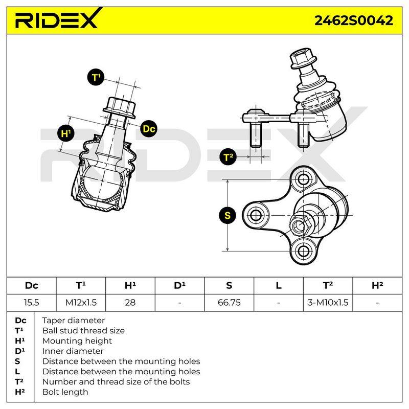 SUS-BJT-RID-CUP-NEW-0011 #2