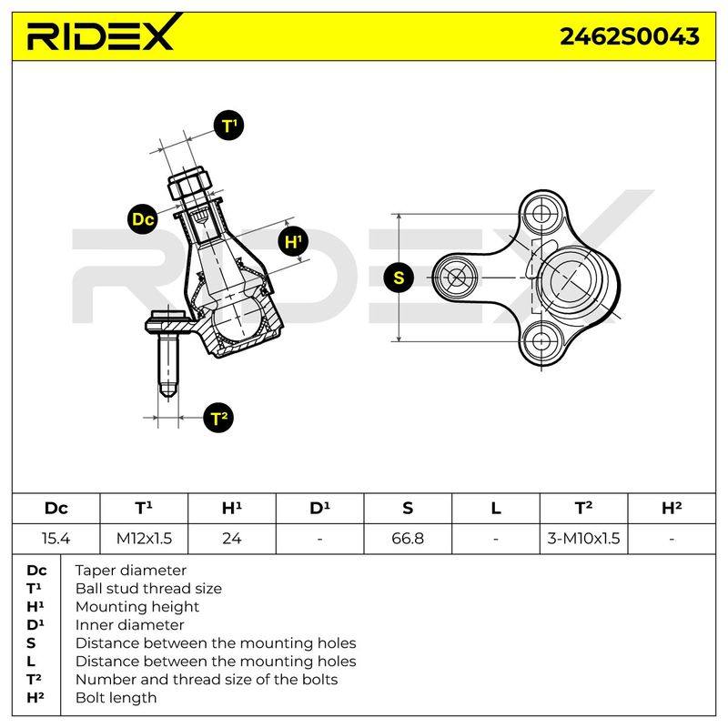 SUS-BJT-RID-CUP-NEW-0009 #1