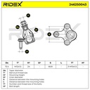 SUS-BJT-RID-CUP-NEW-0009 #1