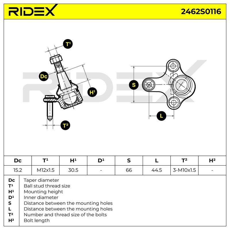SUS-BJT-RID-CUP-NEW-0005 #4