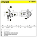 SUS-BJT-RID-CUP-NEW-0005 #4