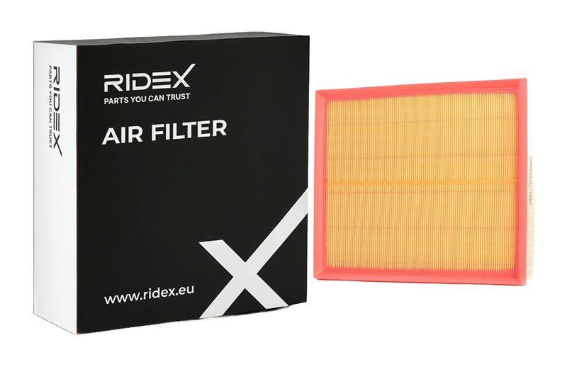 FIL-AIR-RID-LAN-NEW-0011 #1