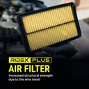 FIL-AIR-RID-LAN-NEW-0002 #3