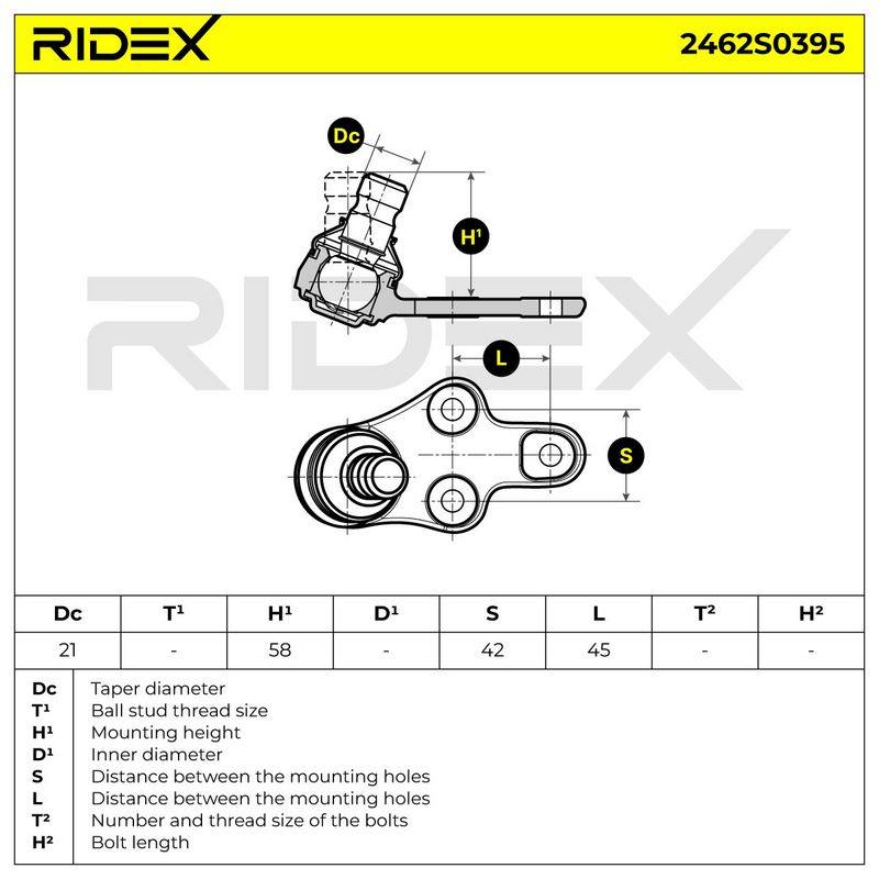 SUS-BJT-RID-VO1-NEW-0012 #3