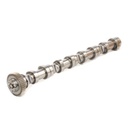 ENG-MSC-RID-VW-NEW-0030 #1
