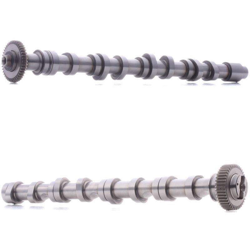ENG-MSC-RID-VW-NEW-0038 #2
