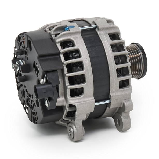 ELE-ALT-RID-VW-NEW-0091 #2