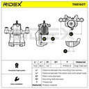 BRK-CAL-RID-CUP-NEW-0011 #4