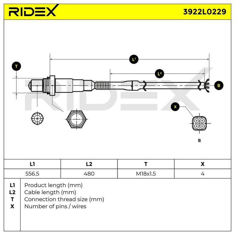 ELE-SEN-RID-PIA-NEW-0002 #3