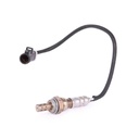 ELE-SEN-RID-MAZ-NEW-0032 #1