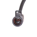 ELE-SEN-RID-MAZ-NEW-0032 #2