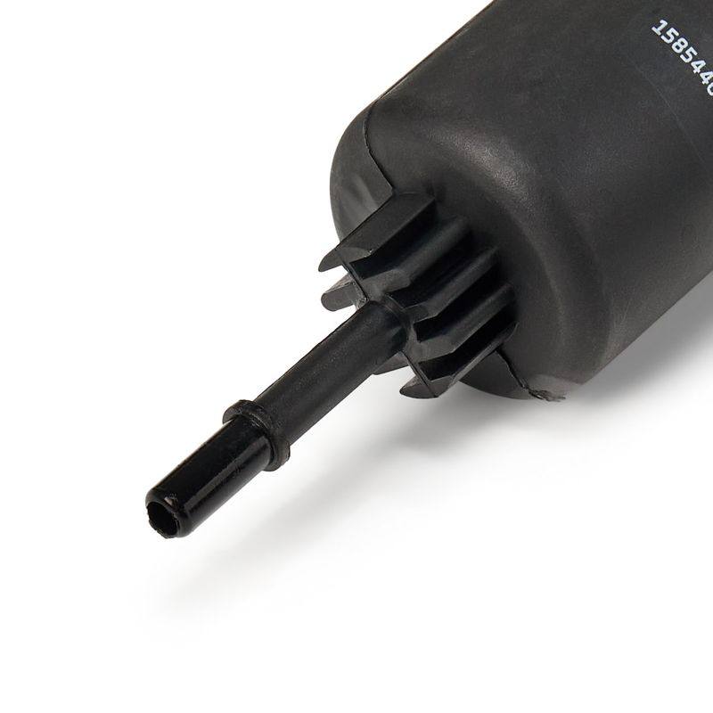 FIL-FUE-RID-MAZ-NEW-0004 #2