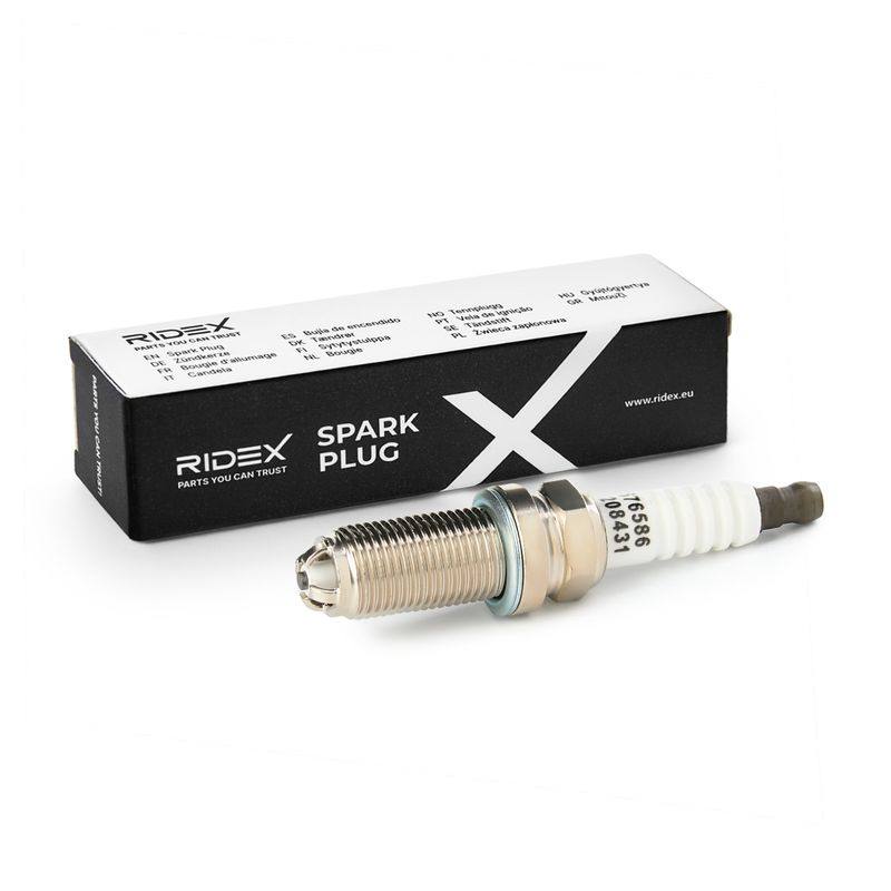 IGN-SPK-RID-FO3-NEW-0001 #3