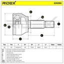 TRN-MSC-RID-MAZ-NEW-0026 #1