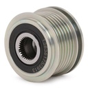 ELE-ALT-RID-MAZ-NEW-0081 #1