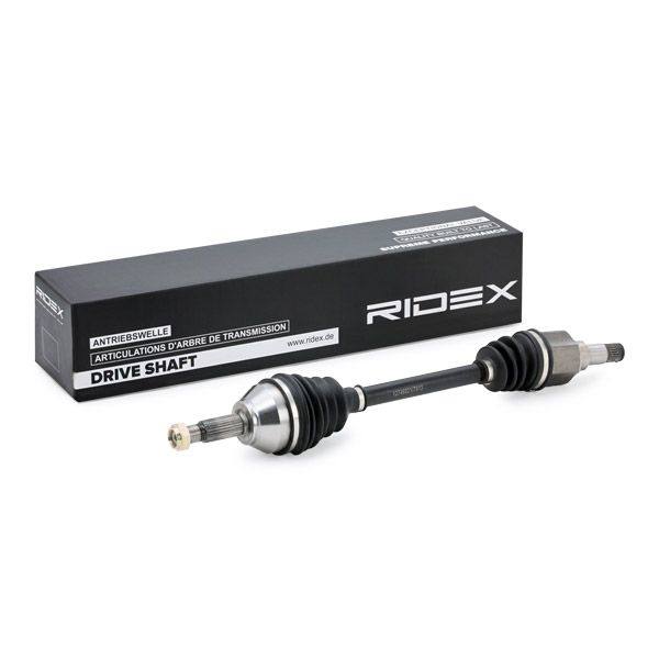 TRN-MSC-RID-MAZ-NEW-0028 #2