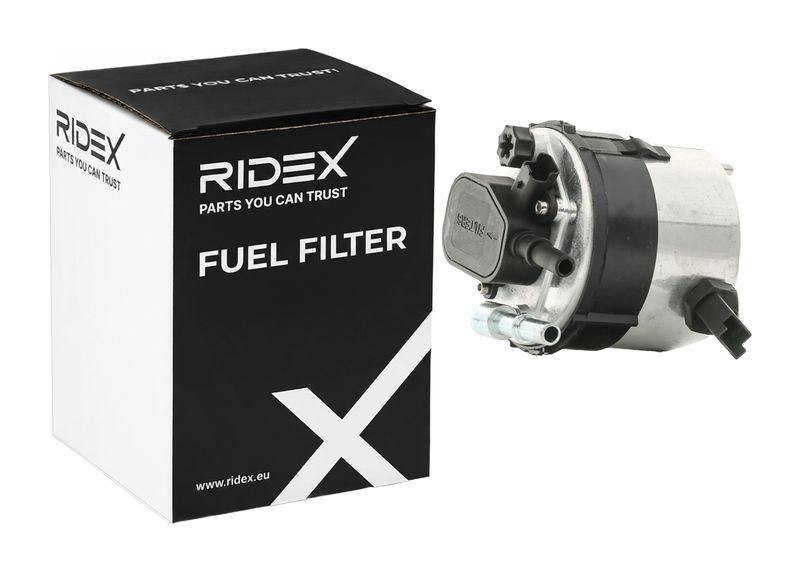 FIL-FUE-RID-MAZ-NEW-0003 #3