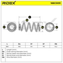 SUS-MSC-RID-SEA-NEW-0037 #1