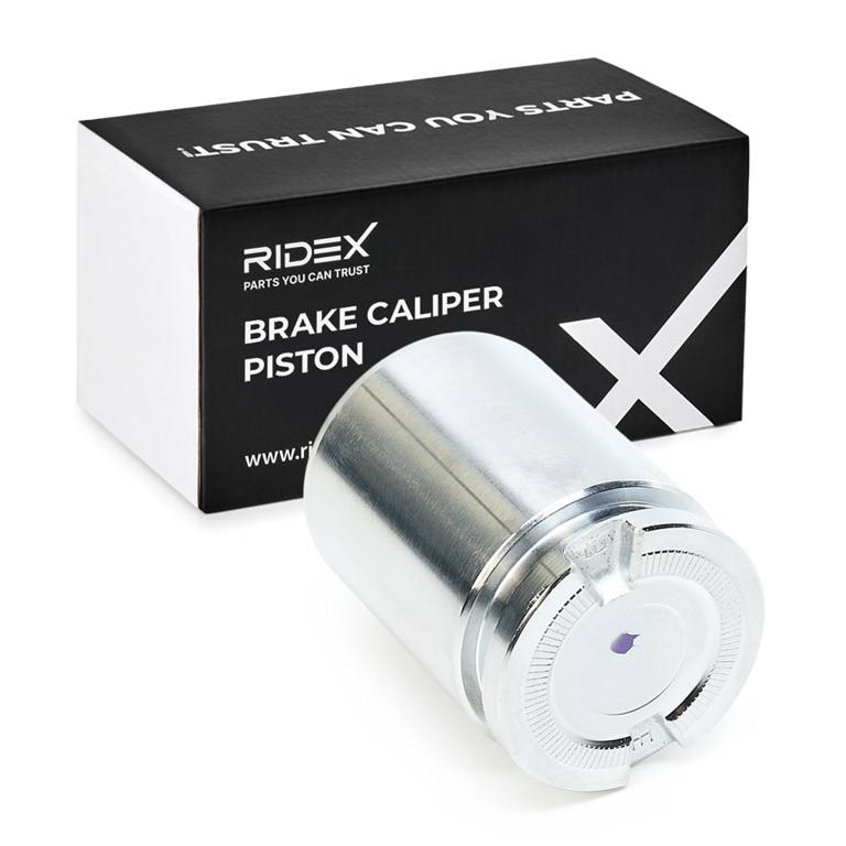 BRK-CAL-RID-TVR-NEW-0001 #3