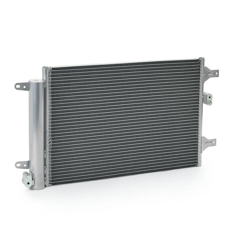 COO-MSC-RID-SEA-NEW-0022 #3