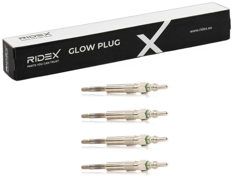IGN-GLP-RID-CHR-NEW-0013 #2