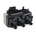 IGN-ICO-RID-VW-NEW-0006 #2