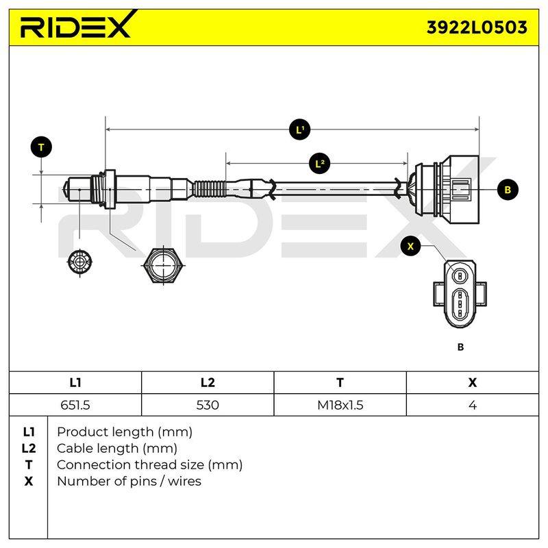 ELE-SEN-RID-SKO-NEW-0031 #2