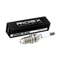 IGN-SPK-RID-TVR-NEW-0006 #1