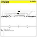 BRK-MSC-RID-SEA-NEW-0010 #1